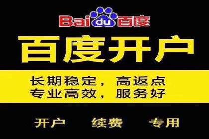 百度推广公司的成功案例：如何实现广告投资回报最大化
